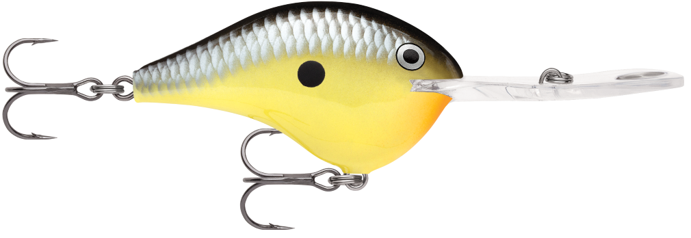 Rapala DT Metal 20 (Dives to 20ft) Crankbait Lure with Deep Diving Metal  Disc - Old School