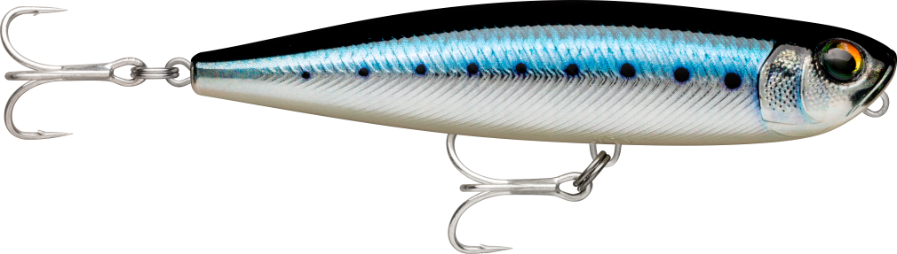 11cm Rapala Precision Xtreme Pencil (Saltwater) Topwater Fishing Lure Colour  - Live Blue Sardine