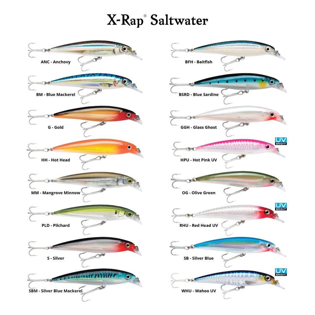 X-RAP SALTWATER Size 10 CM 13 GR Color SB - Fishing - Fishing Lures -  Minnows - Rapala