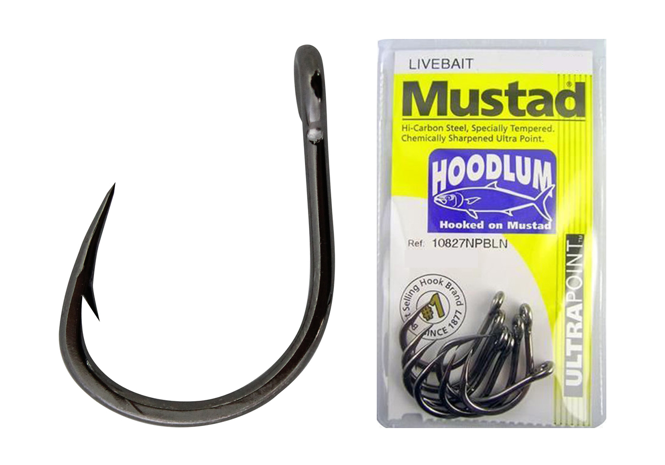 Mustad 3191- Classic Carlisle Long Shank Bait Hooks - Bronze - 100 Pack -  Size 8