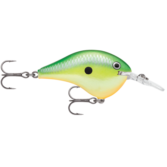 Rapala DT08 (Dives to 8ft) 5cm Crankbait Fishing Lure Colour - Rasta